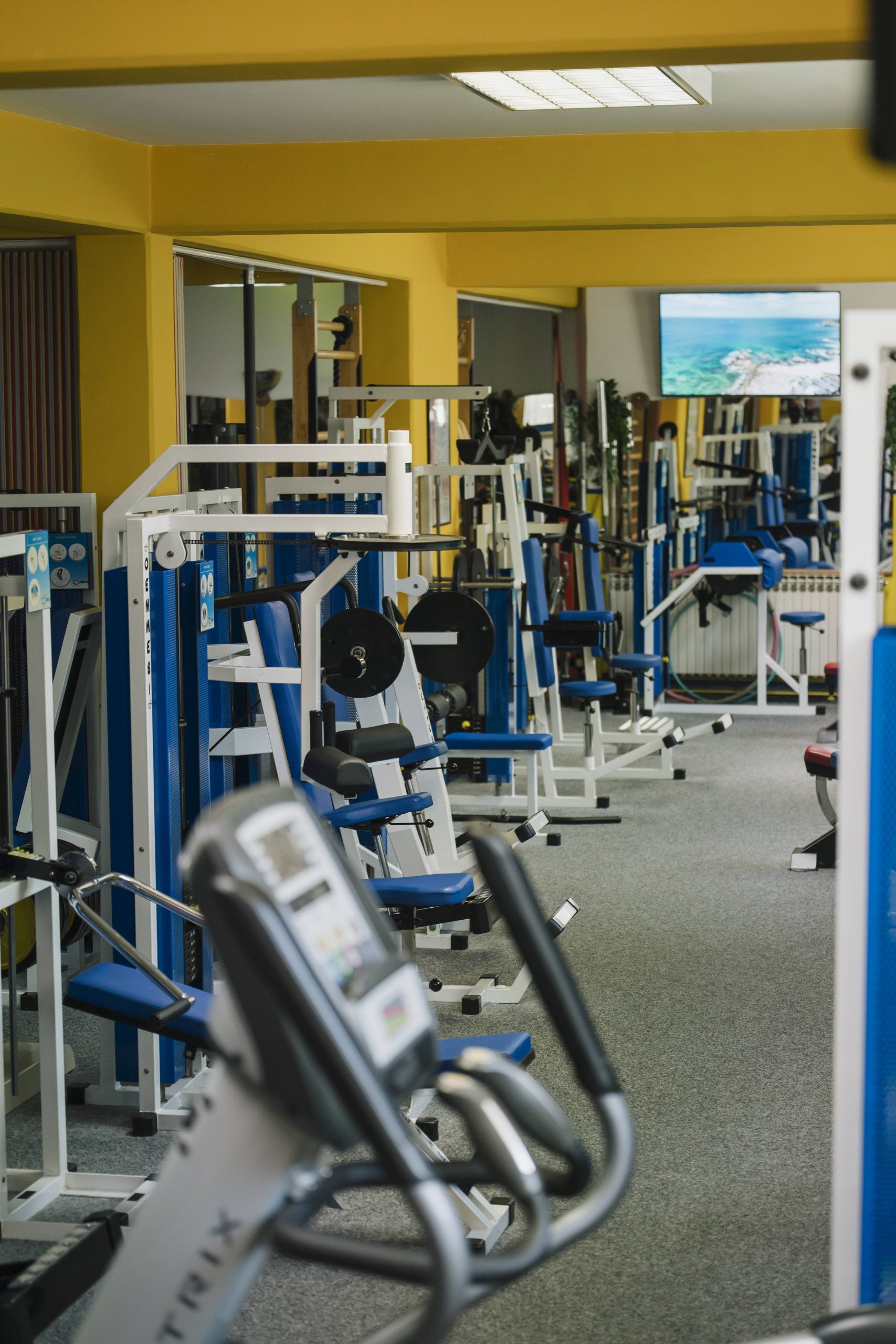 Fit Gym