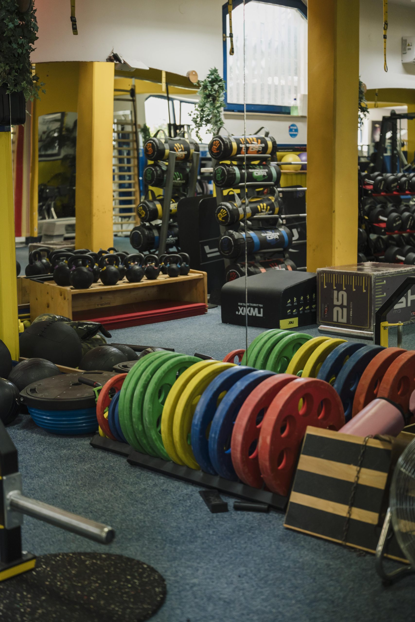 Fit Gym